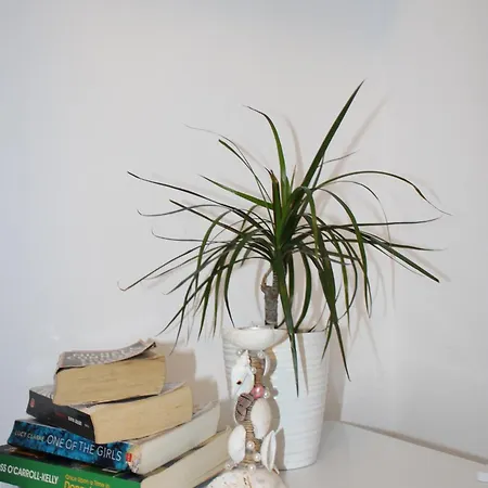 Solasta In Santorini *